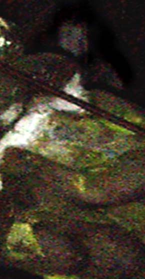 e0103408_1410227.jpg