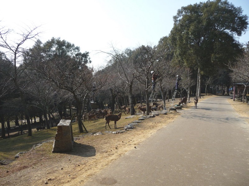 b0174217_2081810.jpg