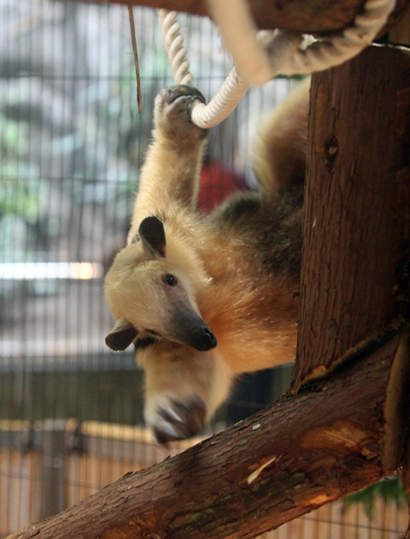 f0224624_13112798.jpg