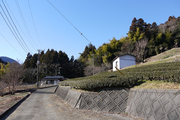 富士山大展望の山、矢倉岳に登る　その１_c0196928_18341156.jpg