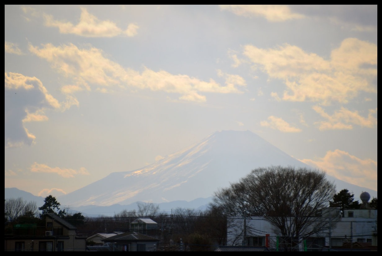 埼京線から日本一　by himawari_b0142435_1561167.jpg