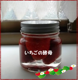 自家製☆いちごの酵母_e0141159_20292299.jpg