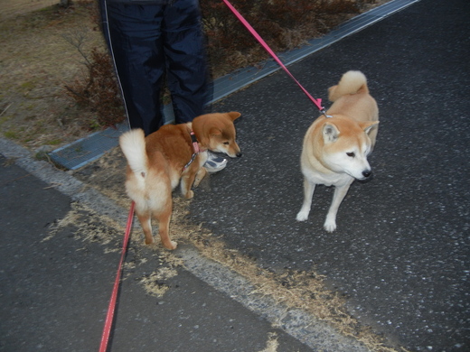 2月4日(金)性格イケメンの遼君!_f0060461_20221615.jpg