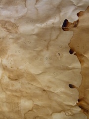c0192970_654387.jpg