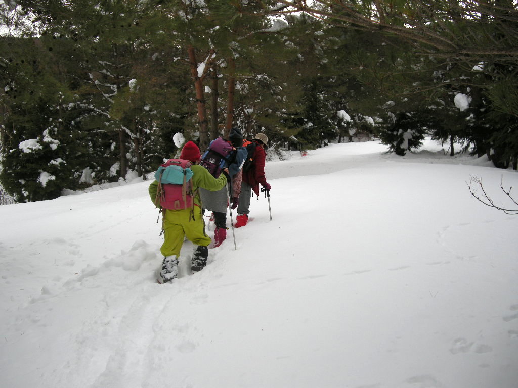 b0185573_8532110.jpg