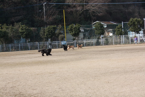 またまた遊んじゃいました)^o^(_e0162984_17401734.jpg