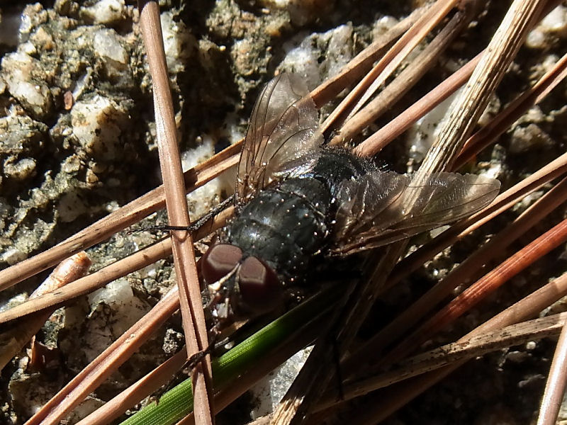 f0204094_20281561.jpg