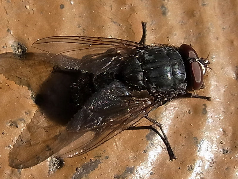 f0204094_20283463.jpg