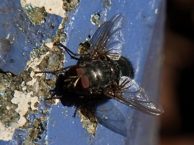 f0204094_20291413.jpg