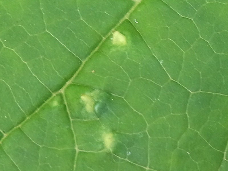 f0204094_2161253.jpg