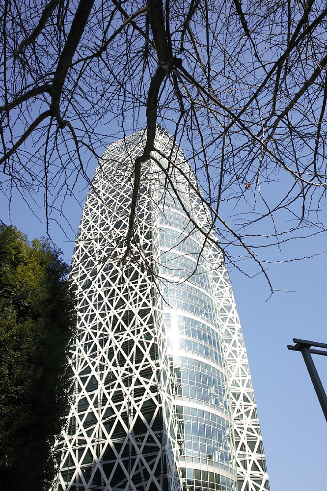 c0124795_035286.jpg