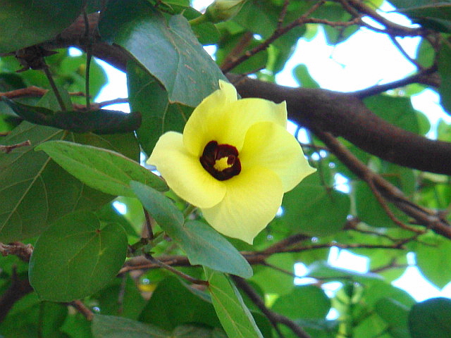 b0139906_15304731.jpg