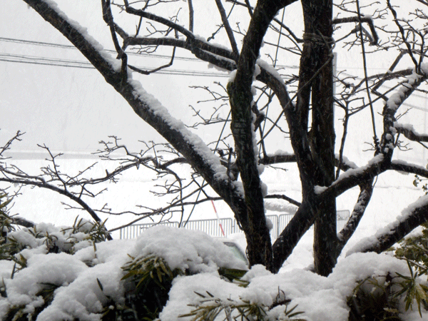 b0159611_1463630.gif