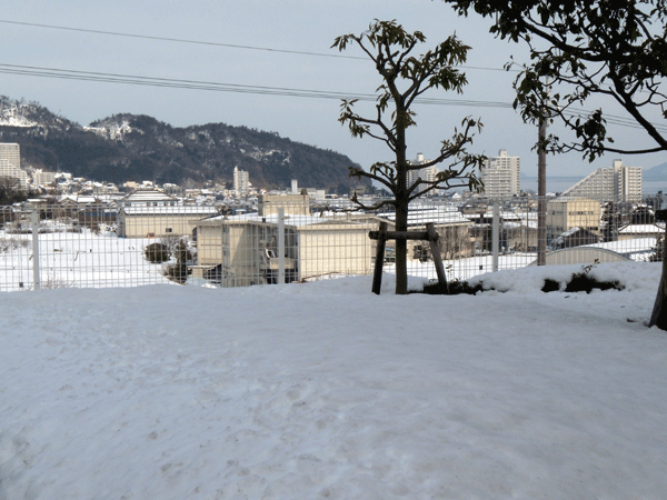 b0159611_365685.gif