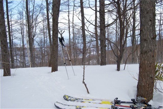 c0153411_17251558.jpg