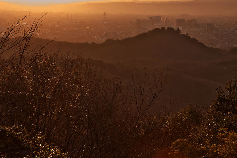 朝日の多峯主山_b0010915_155863.jpg