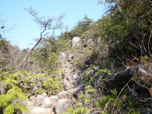 金勝アルプス　竜王山　鶏冠山に登りました　Ｎ０２_d0170615_1324430.jpg