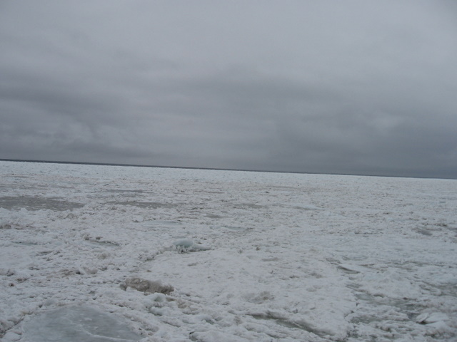 f0221023_121682.jpg