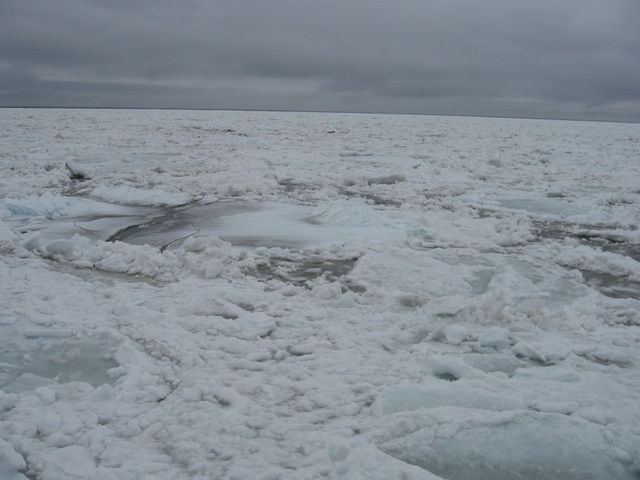 f0221023_121833.jpg