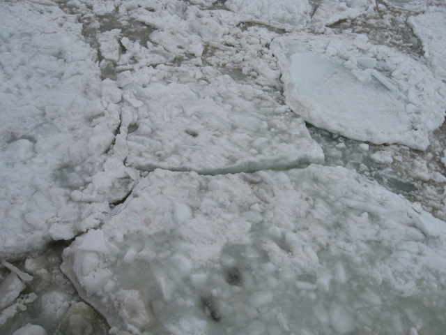 f0221023_121959.jpg