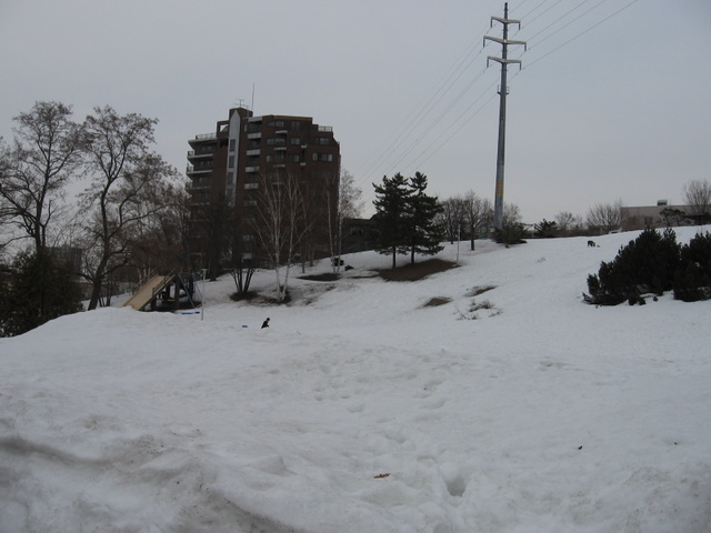 f0221023_122037.jpg