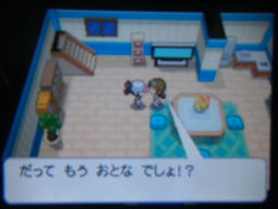 ポケットモンスターブラック縛りプレイ ブラックシティへ つきねこの日記 ポケットモンスターブラック縛りプレイ ブラックシティへ つきねこの日記