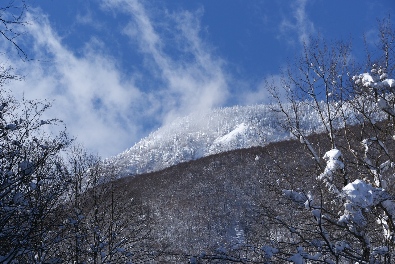 黒姫山_b0162135_10372556.jpg