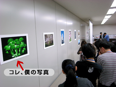 【PR】EPSON「PX-5V」の体験イベントに参加。「写真はやっぱり紙…ですね！」_c0060143_2154983.jpg