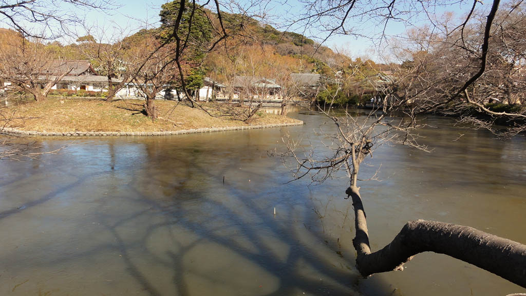 鎌倉鶴岡八幡宮_a0112747_21442499.jpg