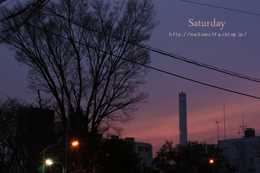 土曜日。_d0124248_21445291.jpg