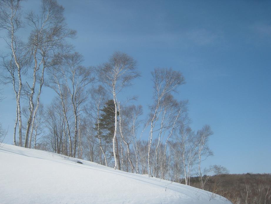 バラギ湖ワカサギ釣り偵察_b0126549_17382812.jpg