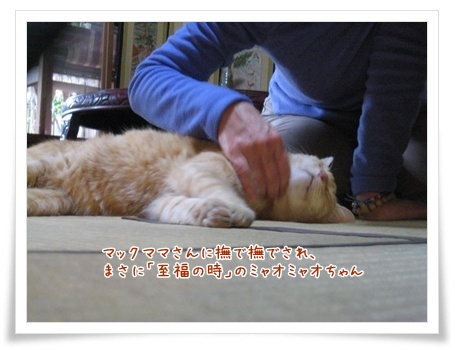 真冬の集い_c0049950_15802.jpg