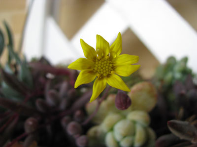 d0084750_2475.jpg