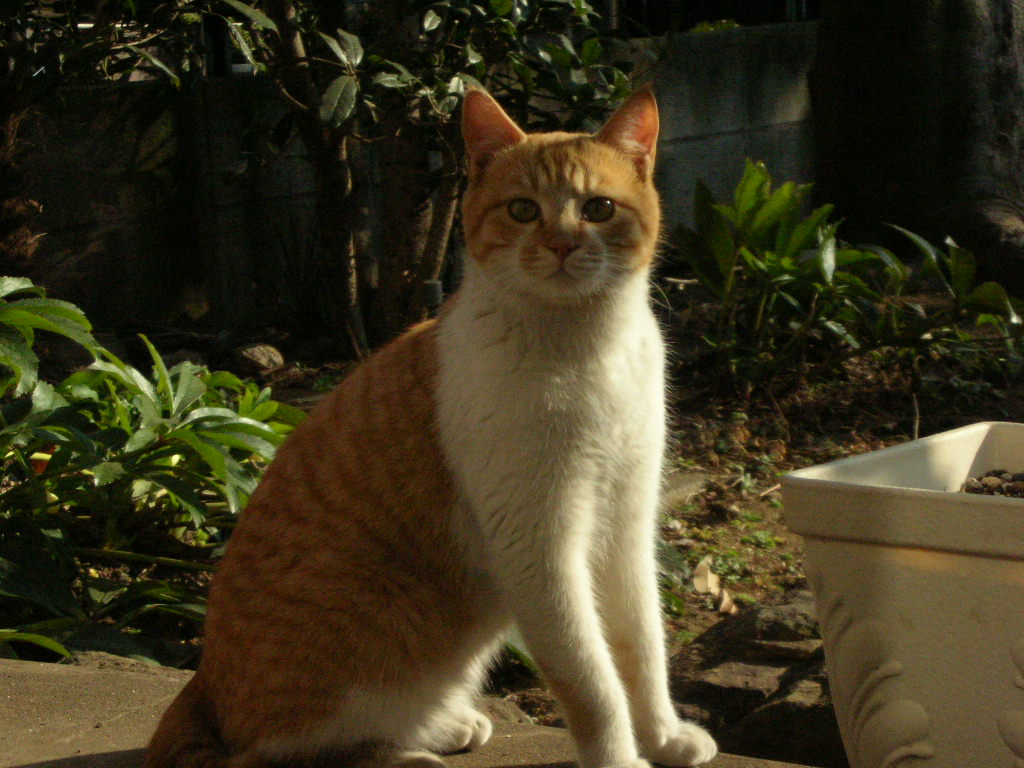 c0228356_22343523.jpg