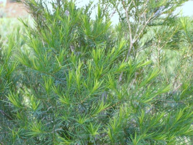 e0130657_23363832.jpg
