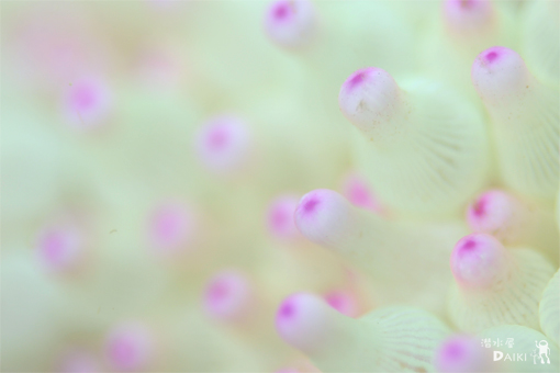 e0158261_5134061.jpg