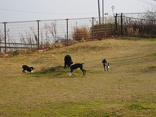 e0002466_1953494.jpg