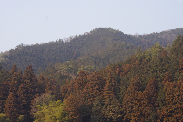 田舎の風景_e0179867_20311571.jpg