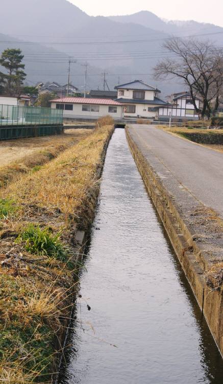 田舎の風景_e0179867_20382782.jpg