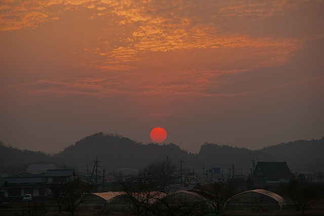 b0198768_22344.jpg