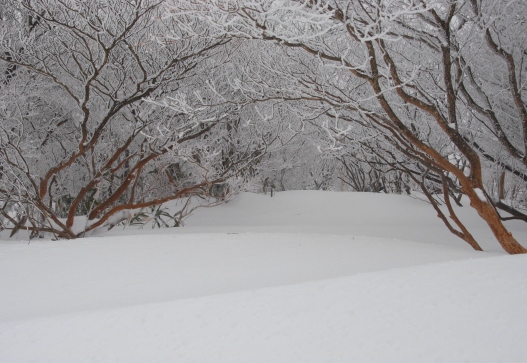 趣味の写真・・・御在所　　三重県菰野町_b0105374_8421321.jpg