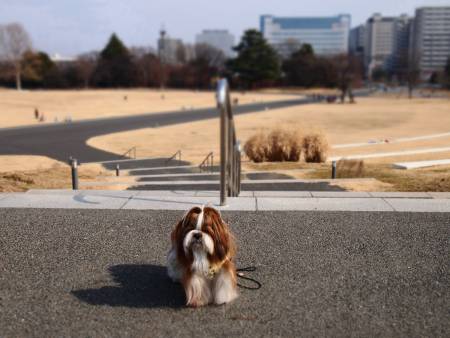 記念すべき（？）第1回青空写真教室☆_a0198883_22532425.jpg