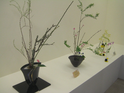 久留米に池坊展へ。_d0195183_2141744.jpg