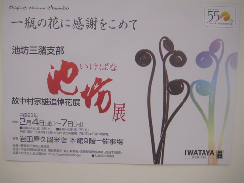久留米に池坊展へ。_d0195183_226322.jpg