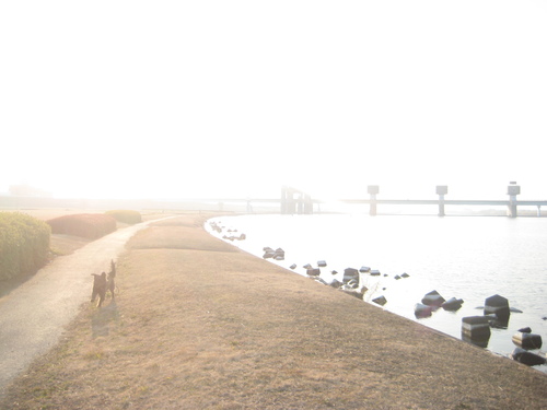 久留米に池坊展へ。_d0195183_243534.jpg