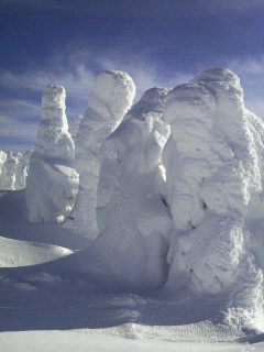 a0129586_23454575.jpg