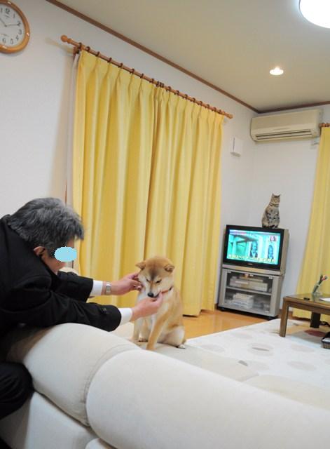 ずいぶんご機嫌のようで・・・_a0126590_5342695.jpg