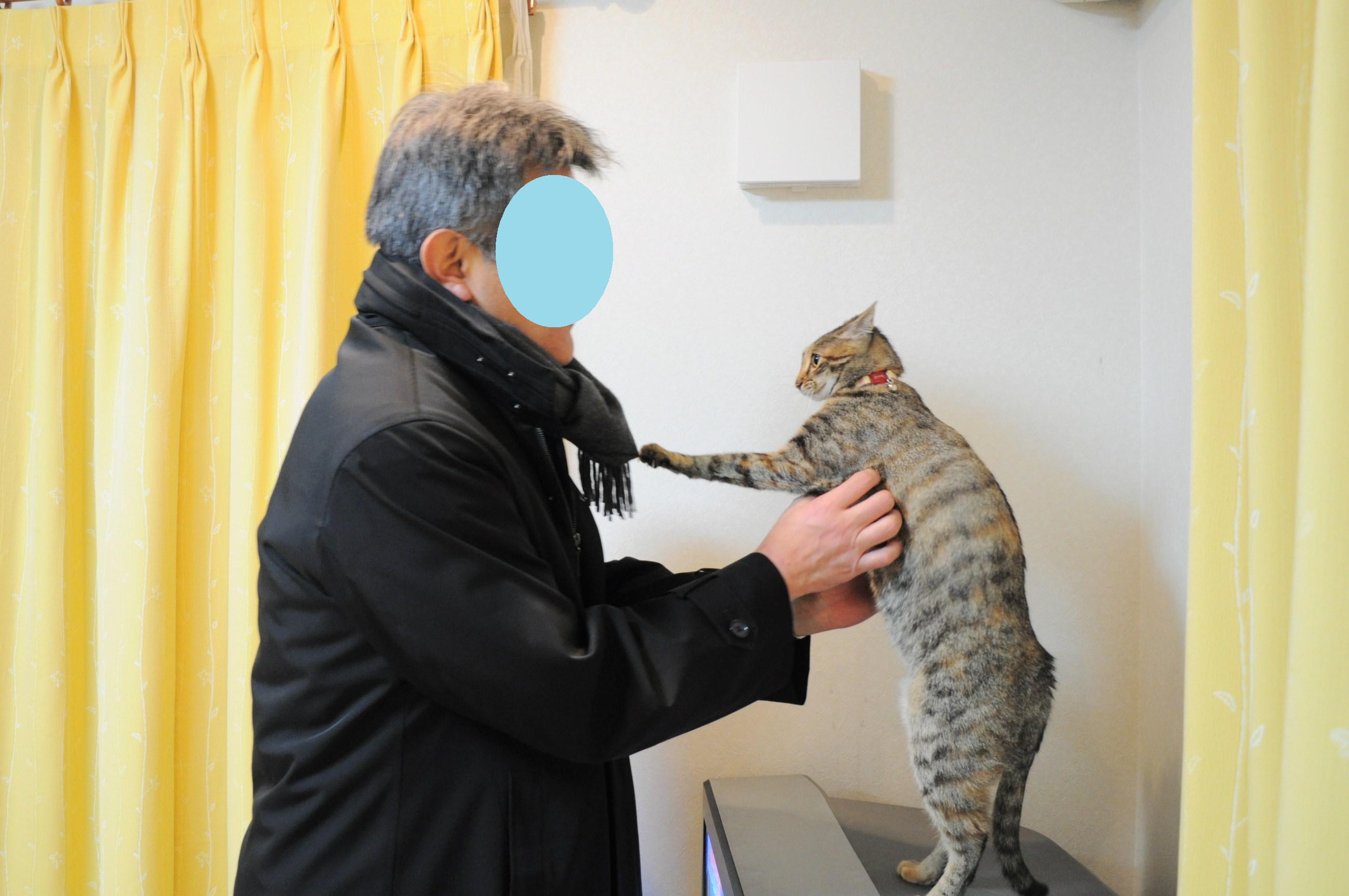 ずいぶんご機嫌のようで・・・_a0126590_535794.jpg