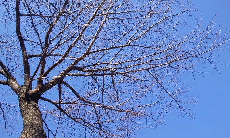 c0220499_2405828.jpg