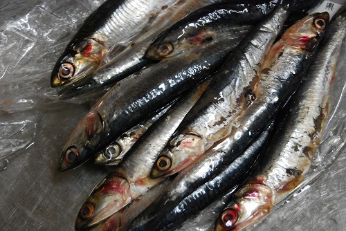 雑魚のスープ_c0124100_225442100.jpg